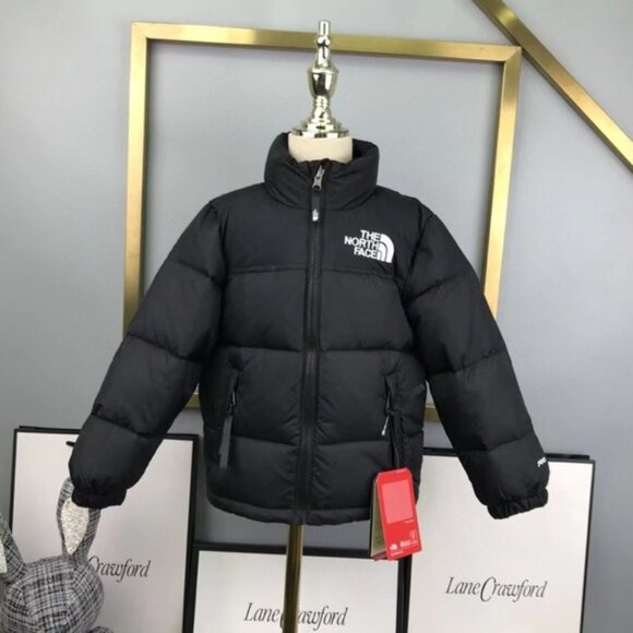 The North Face 1996 Retro Nuptse 700 Jackets - Picture 1 of 5